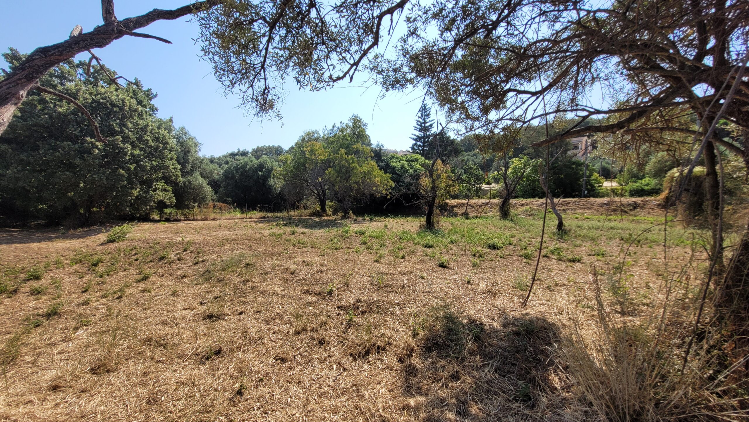 Οικόπεδο στην Κασσιόπη, Κέρκυρα — Φωτογραφία 5 από 6