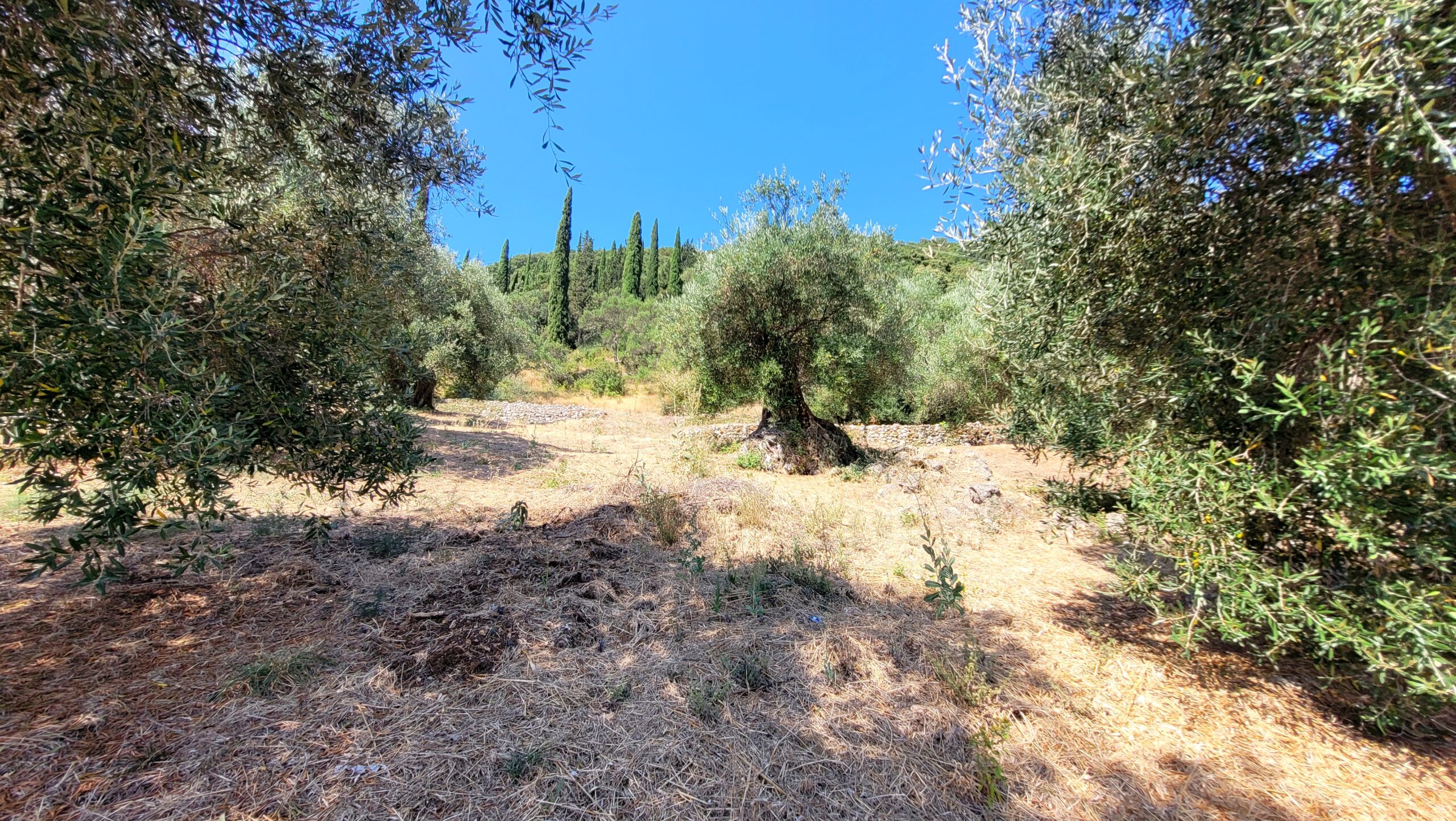 Οικόπεδο στην Παλαιοκαστρίτσα, Κέρκυρα — Φωτογραφία 5 από 7