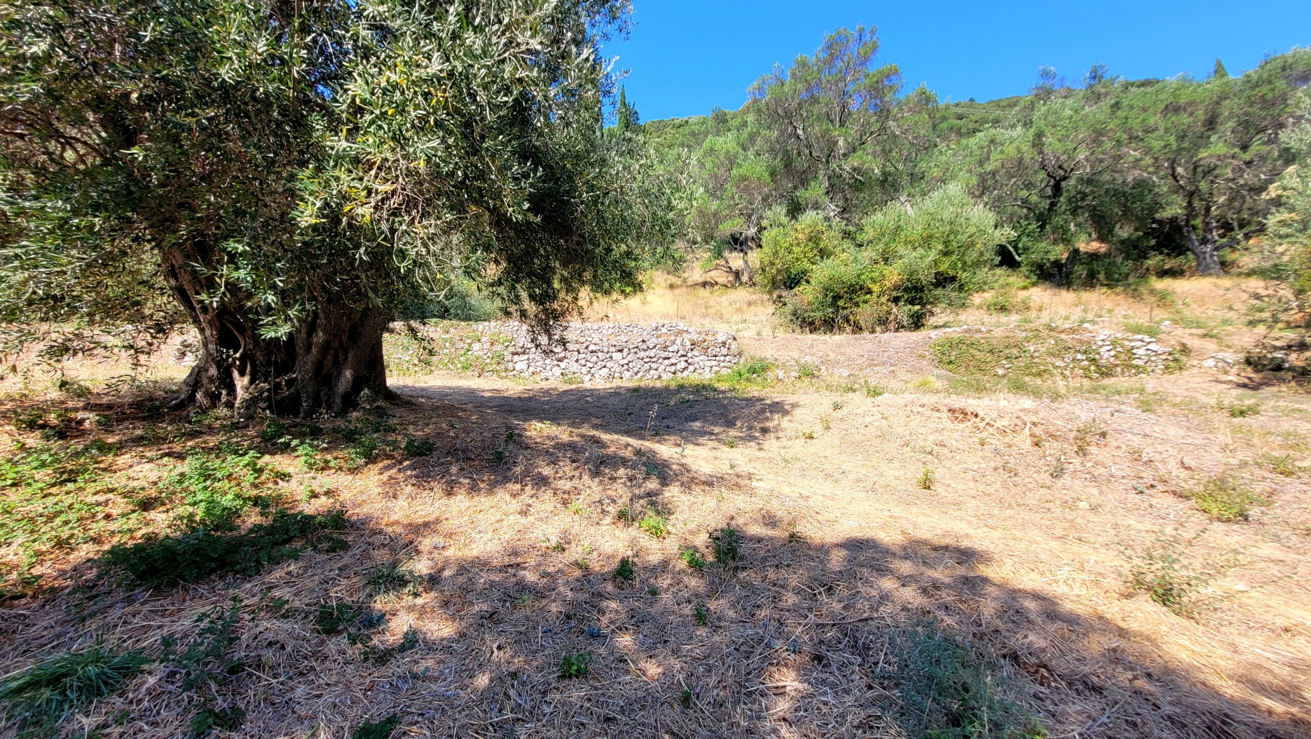 Οικόπεδο στην Παλαιοκαστρίτσα, Κέρκυρα — Φωτογραφία 7 από 7