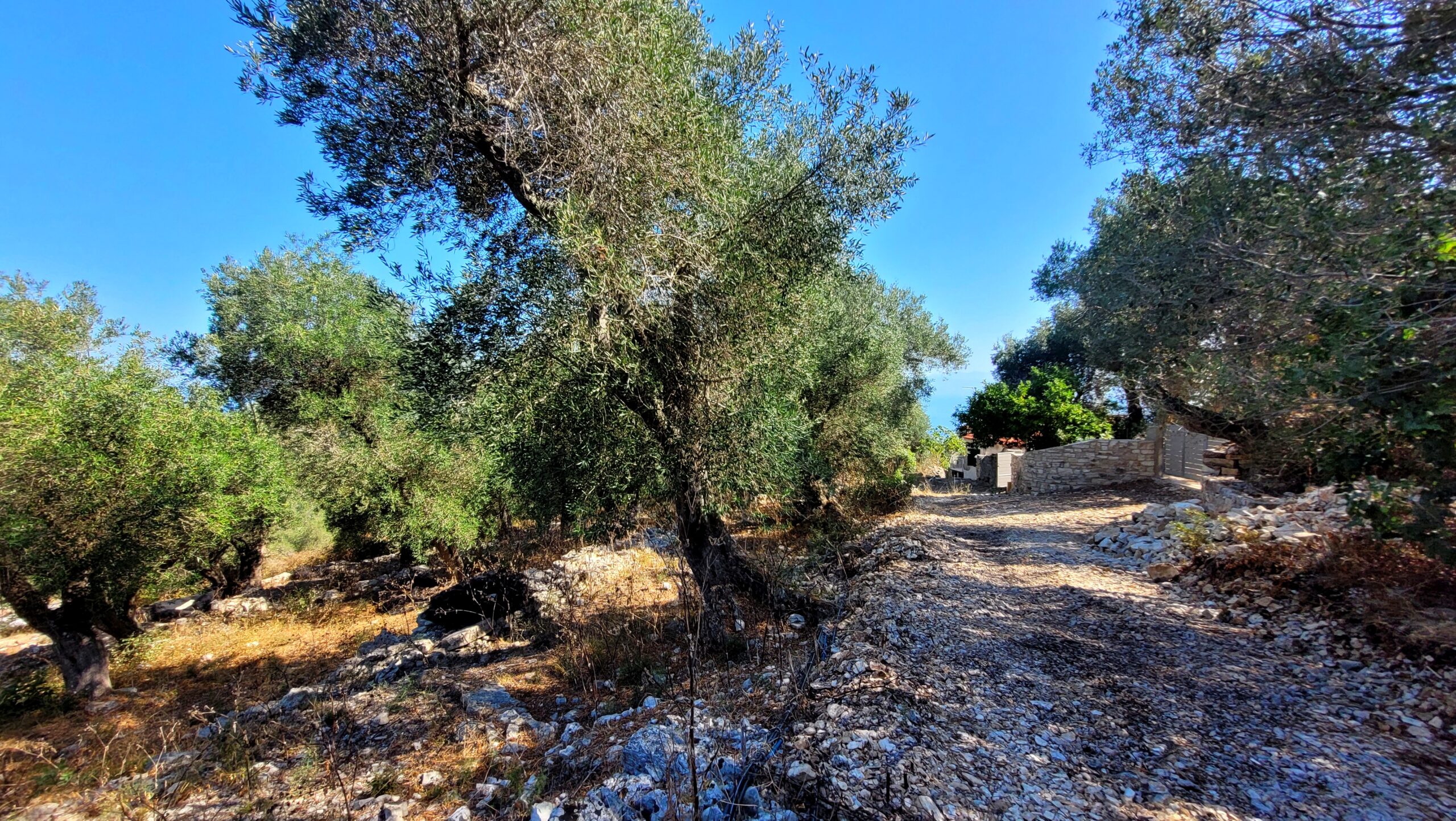 Οικόπεδο στην Μαγαζιά, Παξοί — Φωτογραφία 2 από 9