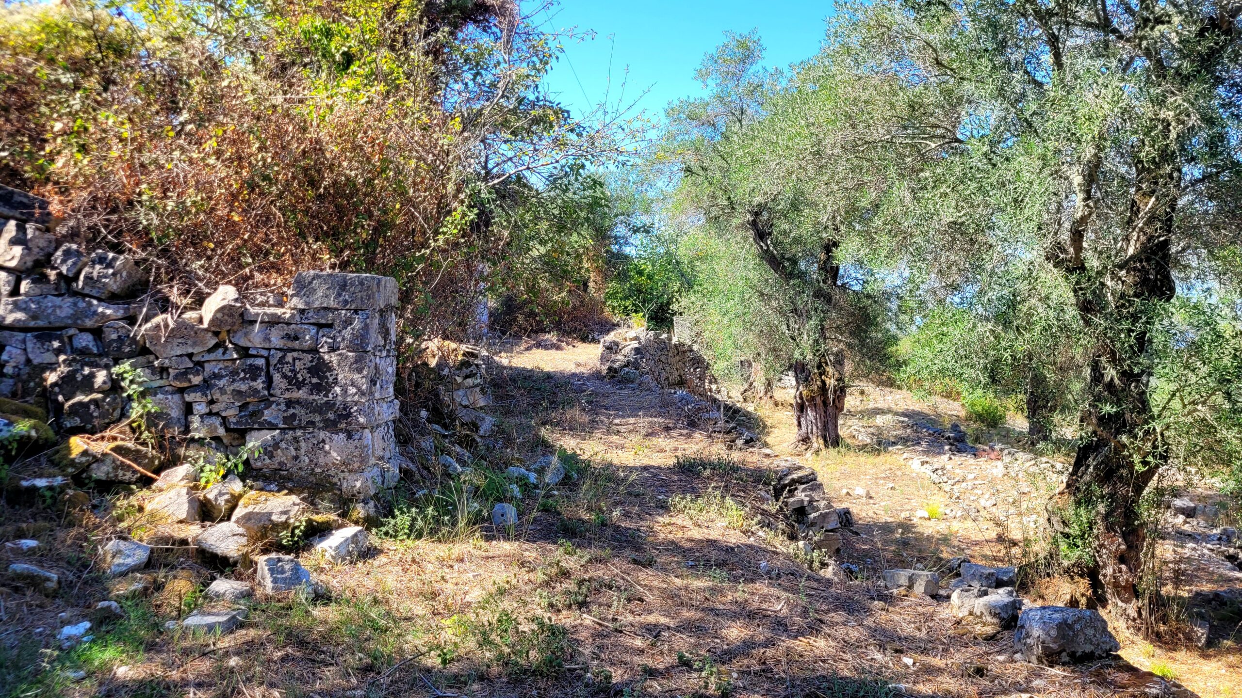 Οικόπεδο στην Μαγαζιά, Παξοί — Φωτογραφία 4 από 9