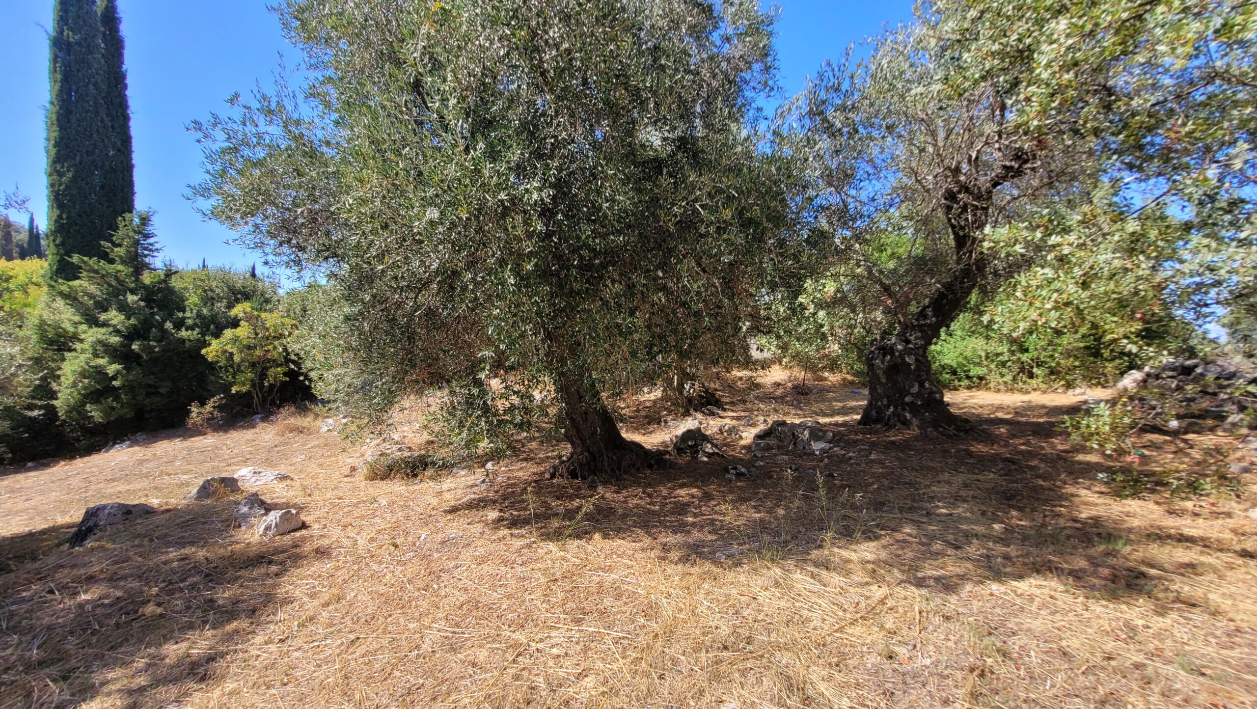 Μονοκατοικία στην Κασσιόπη, Κέρκυρα — Φωτογραφία 9 από 10