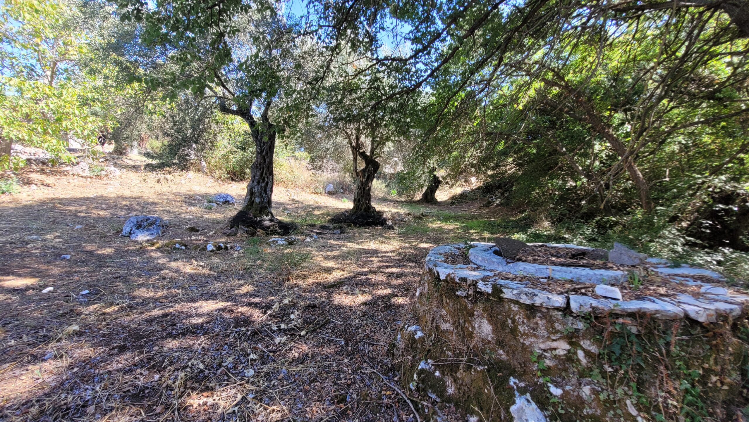 Μονοκατοικία στην Κασσιόπη, Κέρκυρα — Φωτογραφία 10 από 10