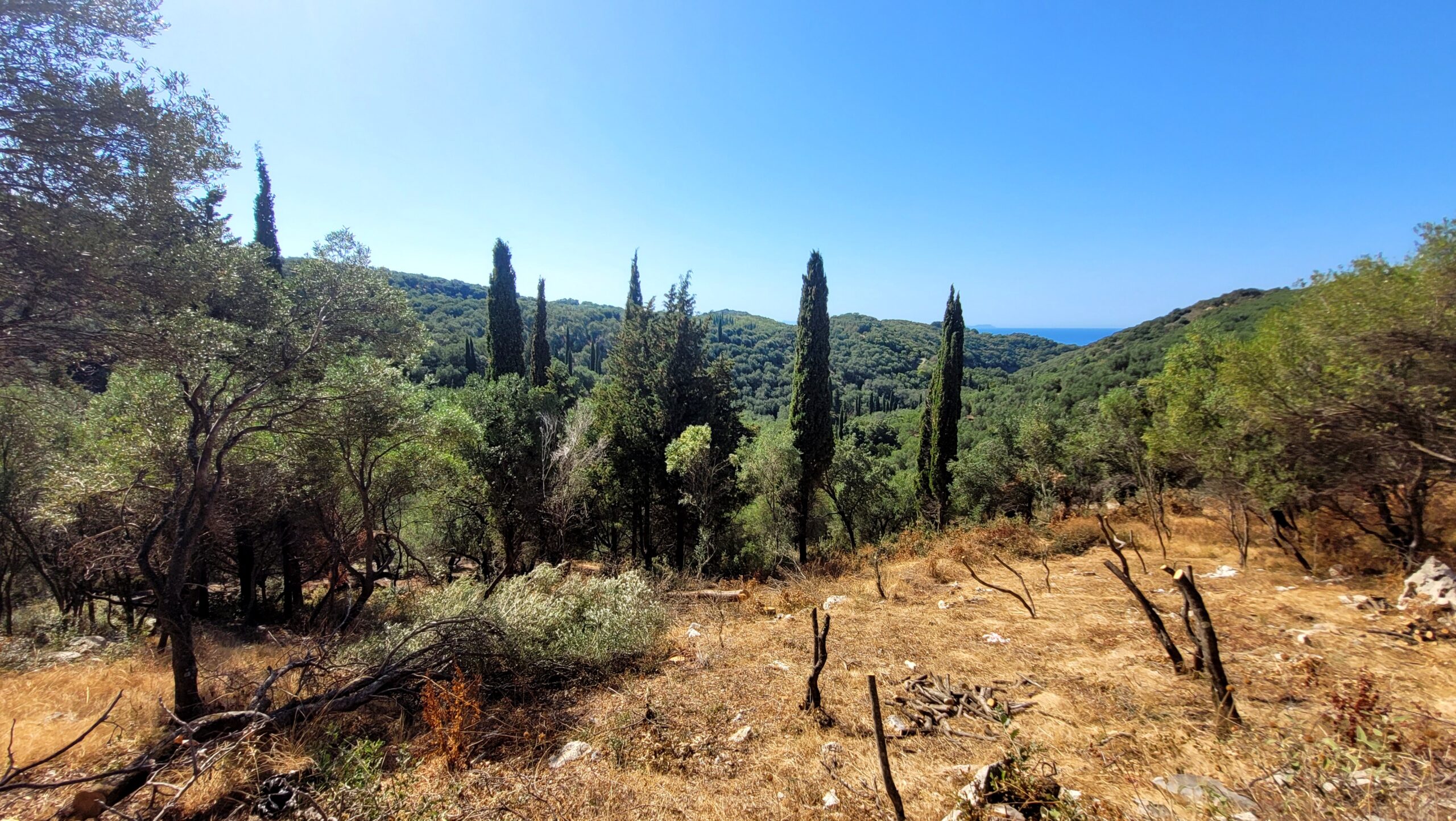 Οικόπεδο στην Κασσιόπη, Κέρκυρα — Φωτογραφία 3 από 5