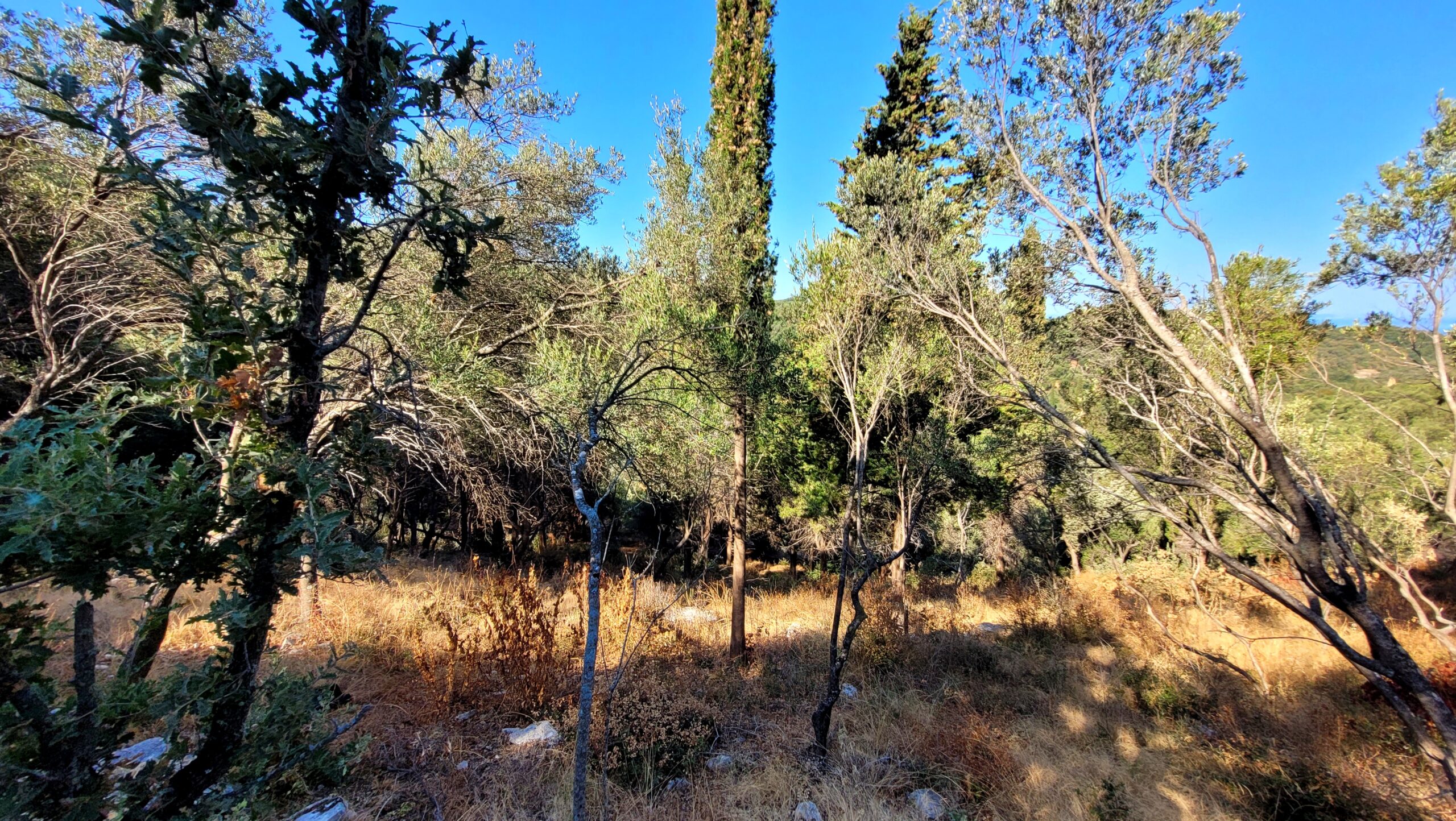 Οικόπεδο στην Κασσιόπη, Κέρκυρα — Φωτογραφία 4 από 5