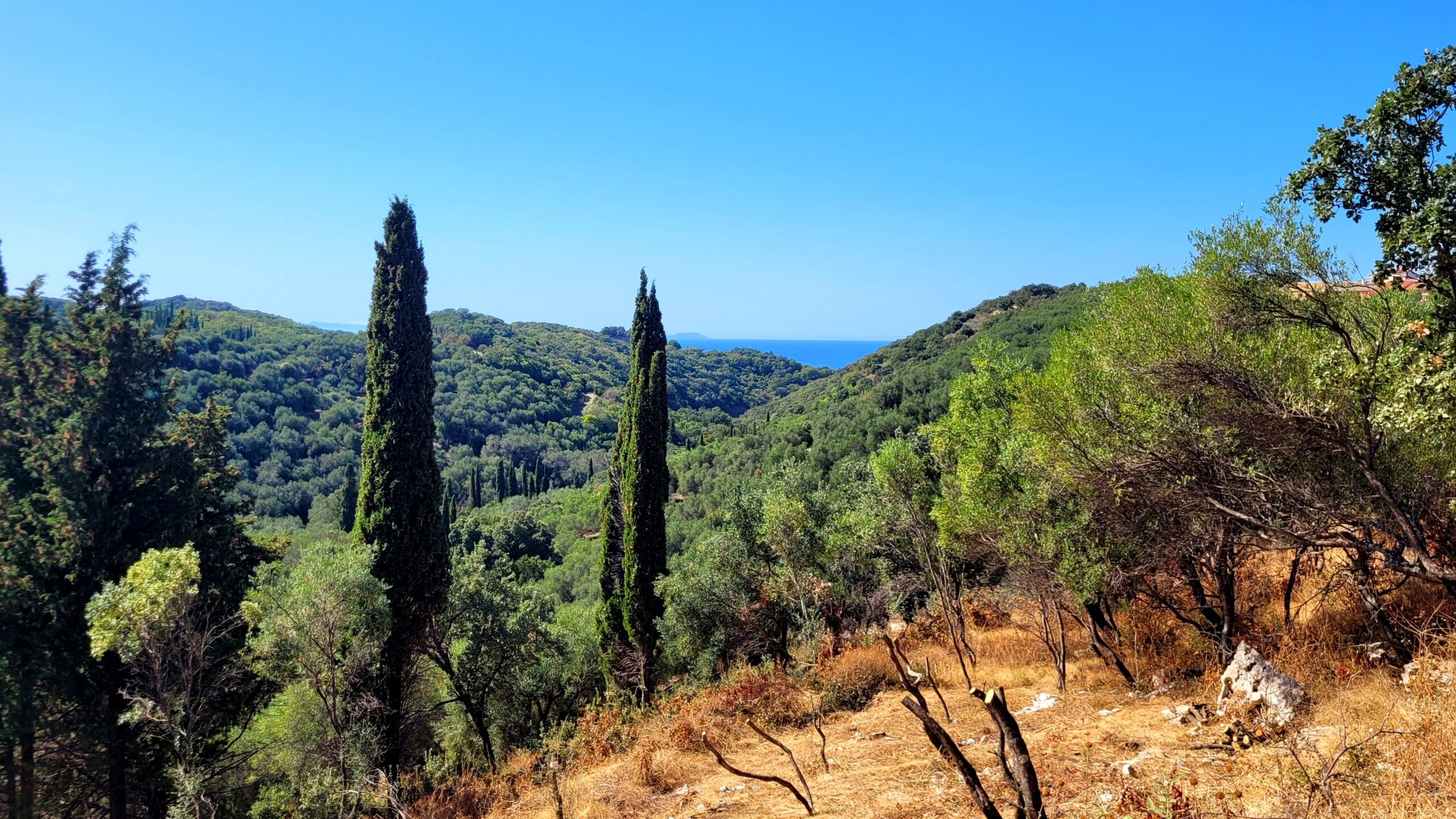 Οικόπεδο στην Κασσιόπη, Κέρκυρα — Φωτογραφία 1 από 5