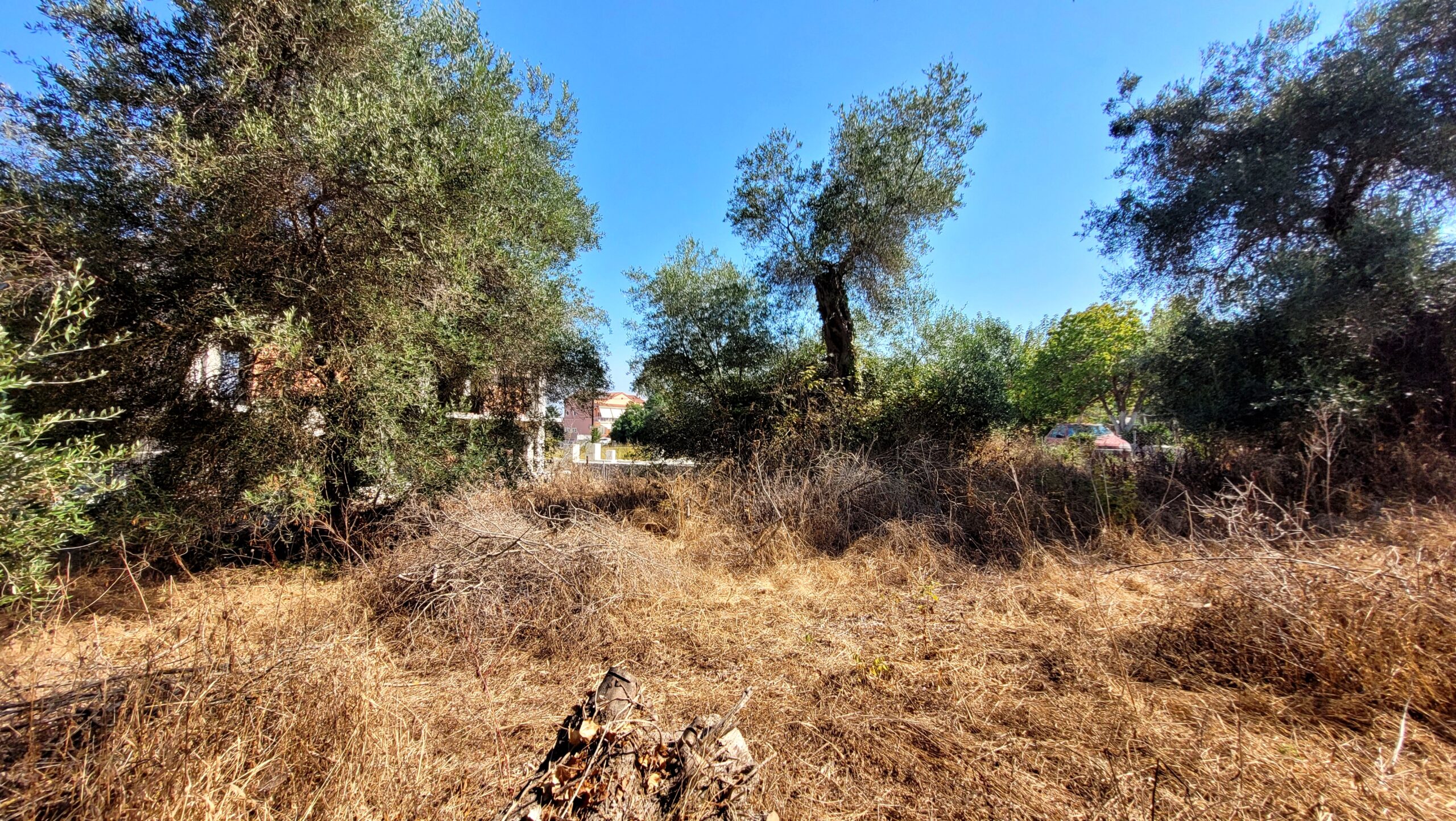 Οικόπεδο στην Άγιος Γεώργιος, Κέρκυρα — Φωτογραφία 4 από 6