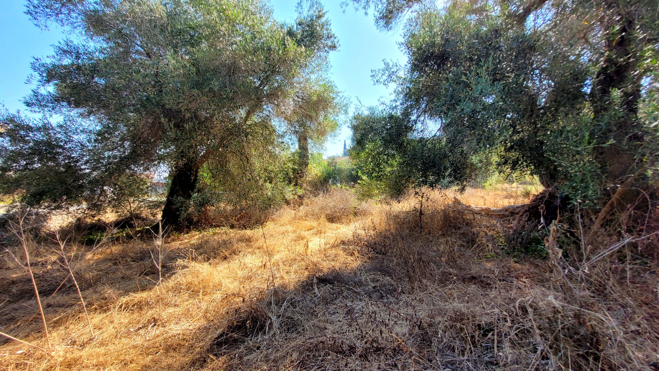 Οικόπεδο στην Άγιος Γεώργιος, Κέρκυρα — Φωτογραφία 5 από 6