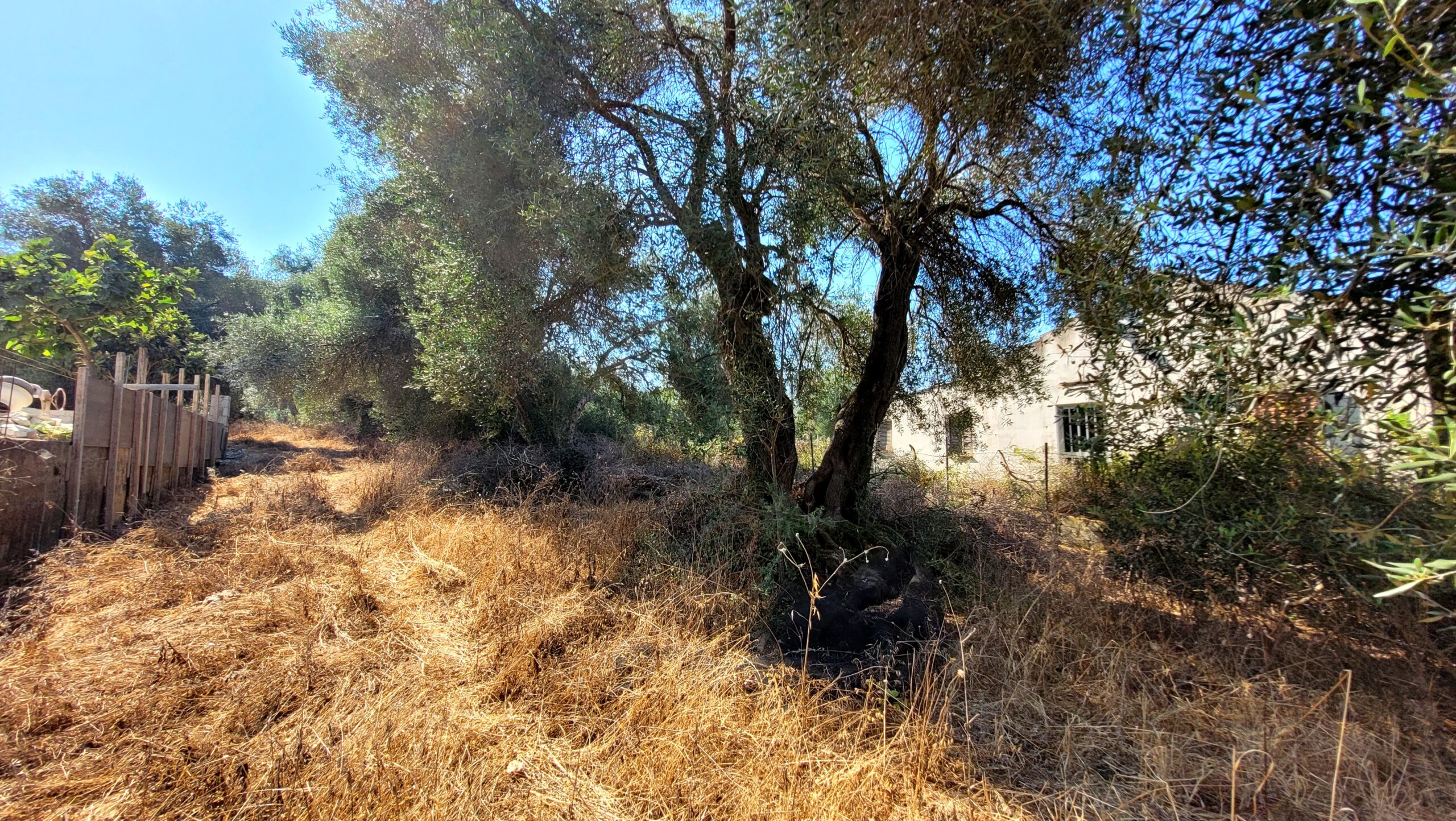 Οικόπεδο στην Άγιος Γεώργιος, Κέρκυρα — Φωτογραφία 6 από 6