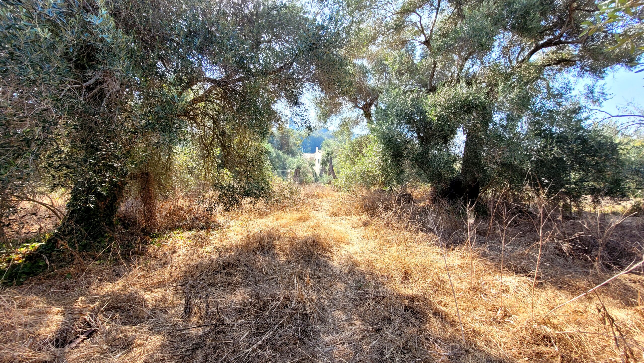 Οικόπεδο στην Άγιος Γεώργιος, Κέρκυρα — Φωτογραφία 3 από 6
