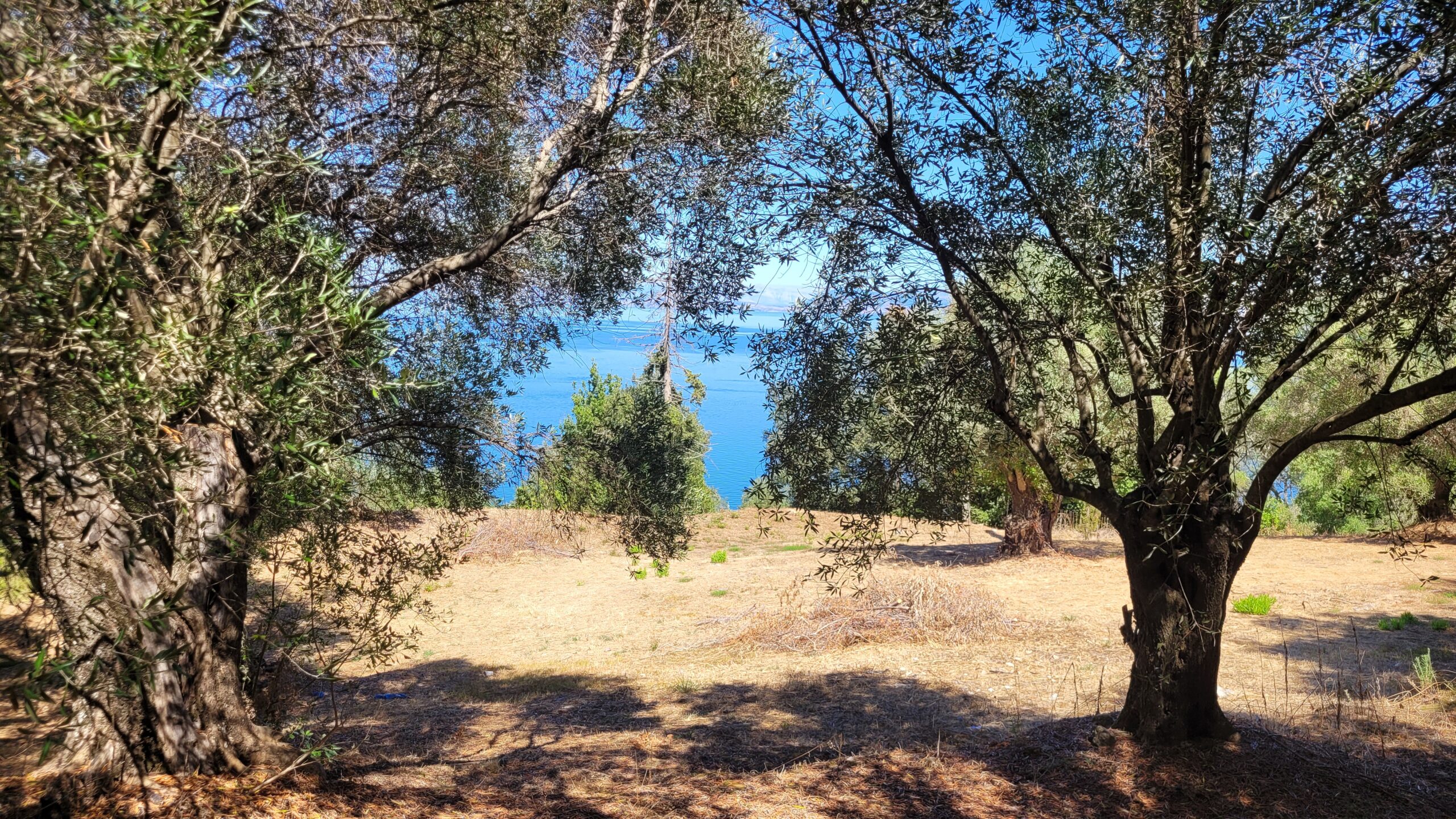 Οικόπεδο στην Βασιλάτικα, Κέρκυρα — Φωτογραφία 3 από 6