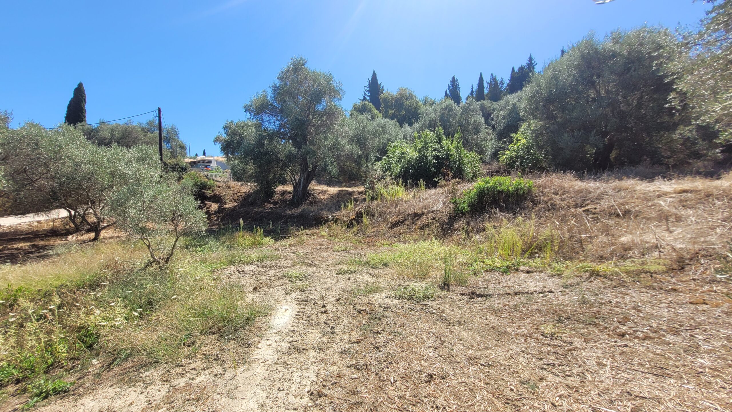 Οικόπεδο στην Βασιλάτικα, Κέρκυρα — Φωτογραφία 5 από 6