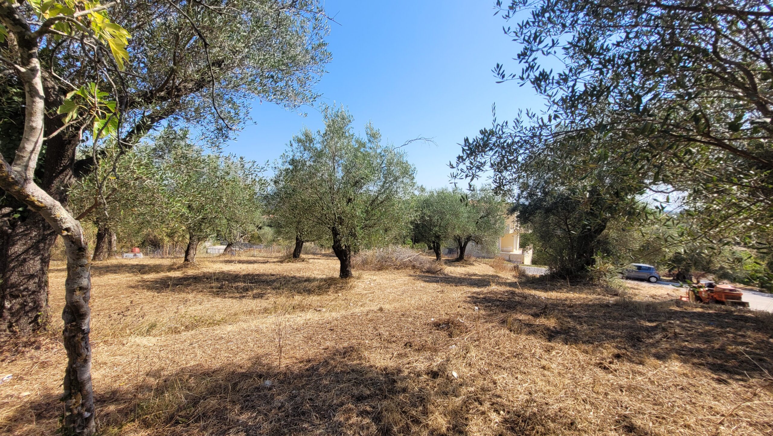 Οικόπεδο στην Παλαιοκαστρίτσα, Κέρκυρα — Φωτογραφία 3 από 6