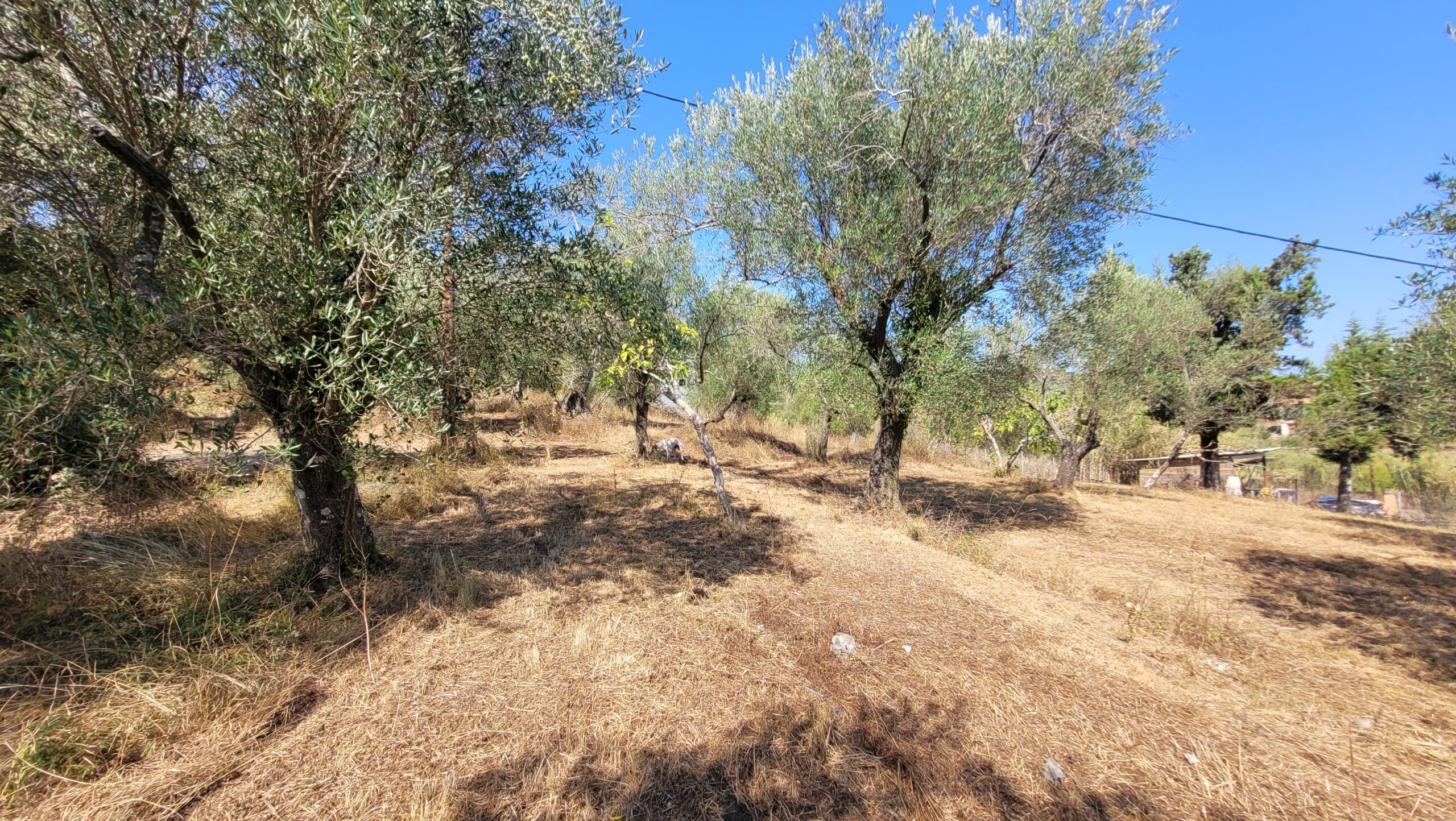 Οικόπεδο στην Παλαιοκαστρίτσα, Κέρκυρα — Φωτογραφία 4 από 6