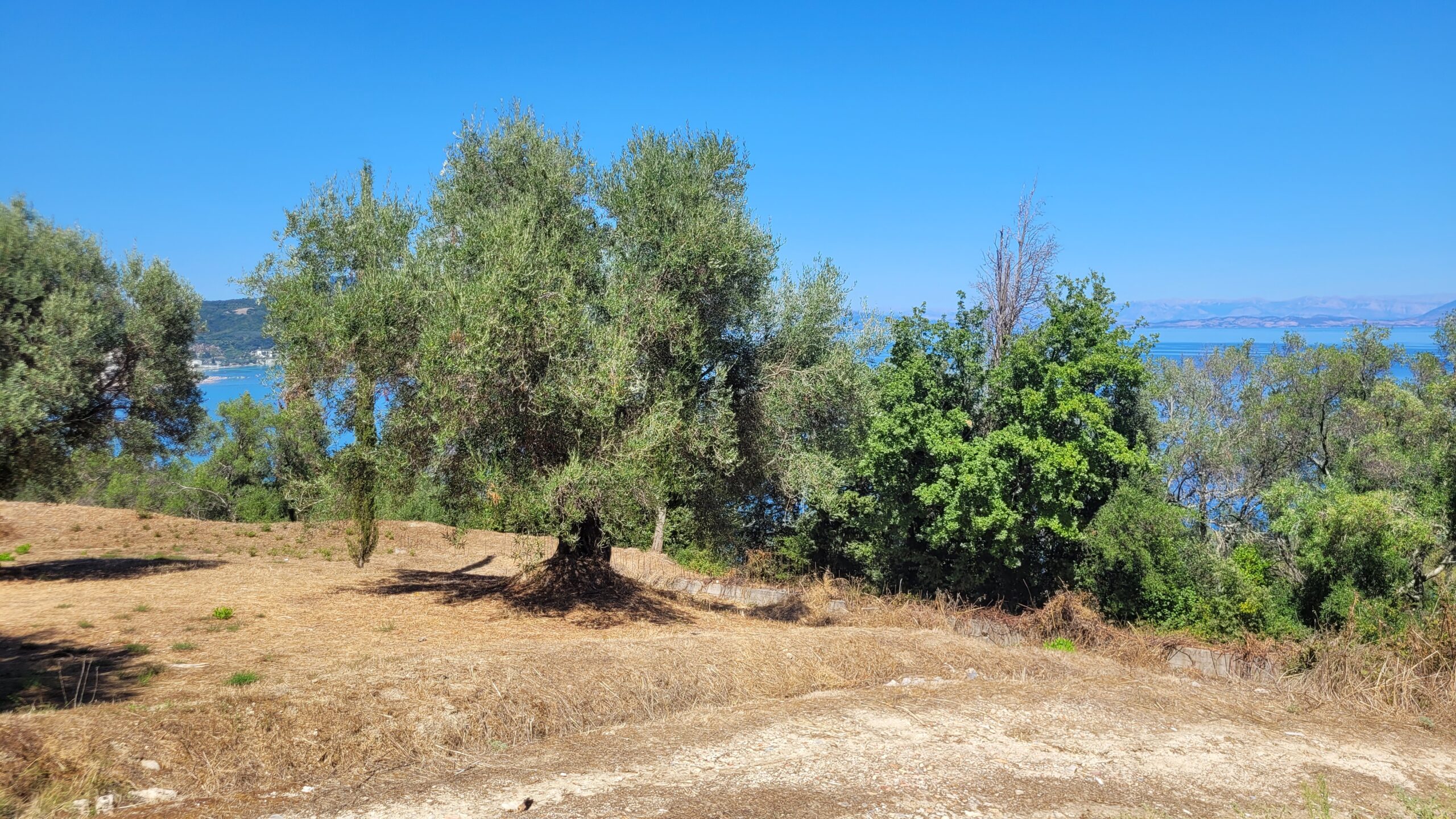 Οικόπεδο στην Βασιλάτικα, Κέρκυρα — Φωτογραφία 4 από 6