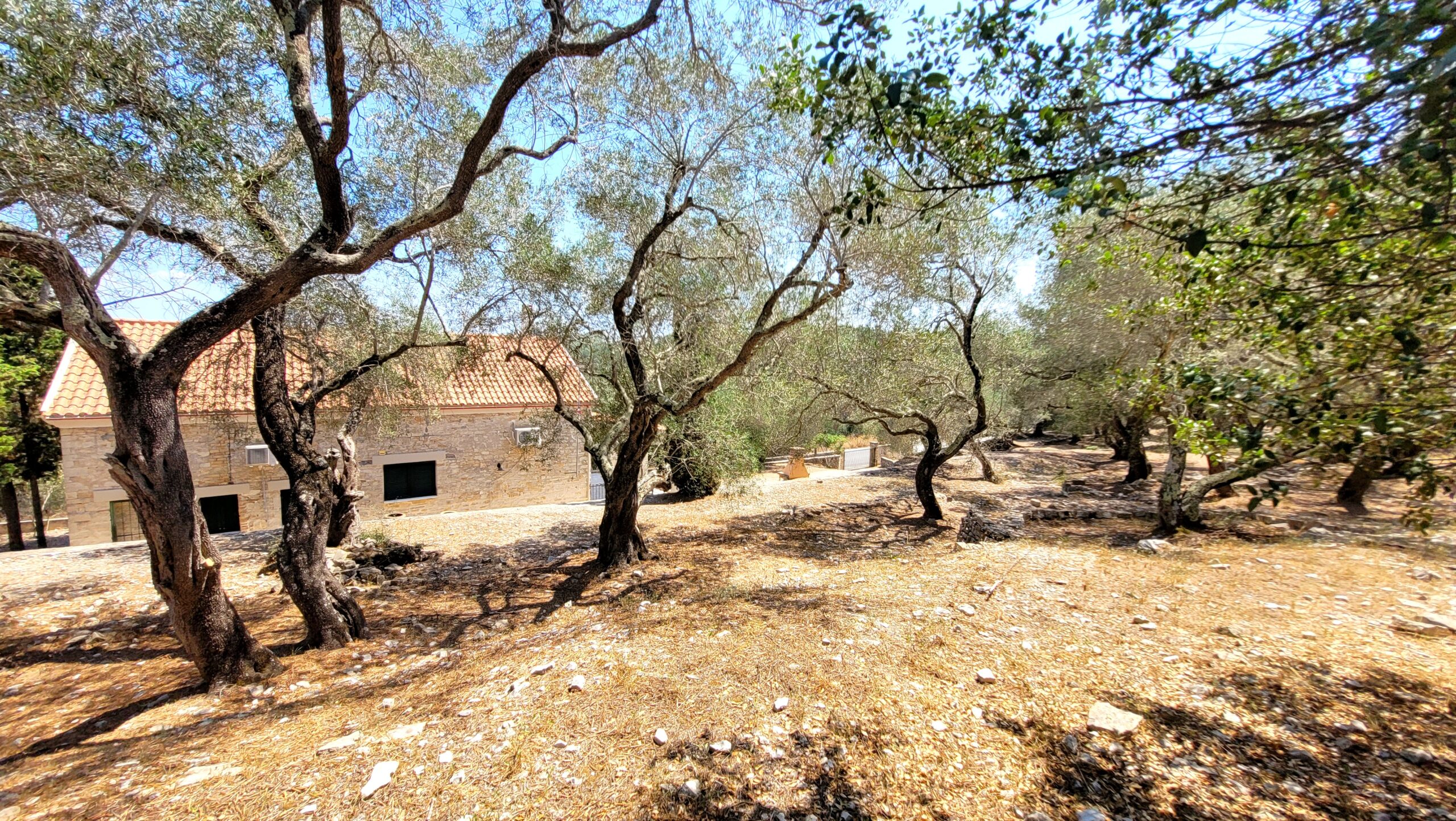 house στην Παξοί — Φωτογραφία 17 από 19