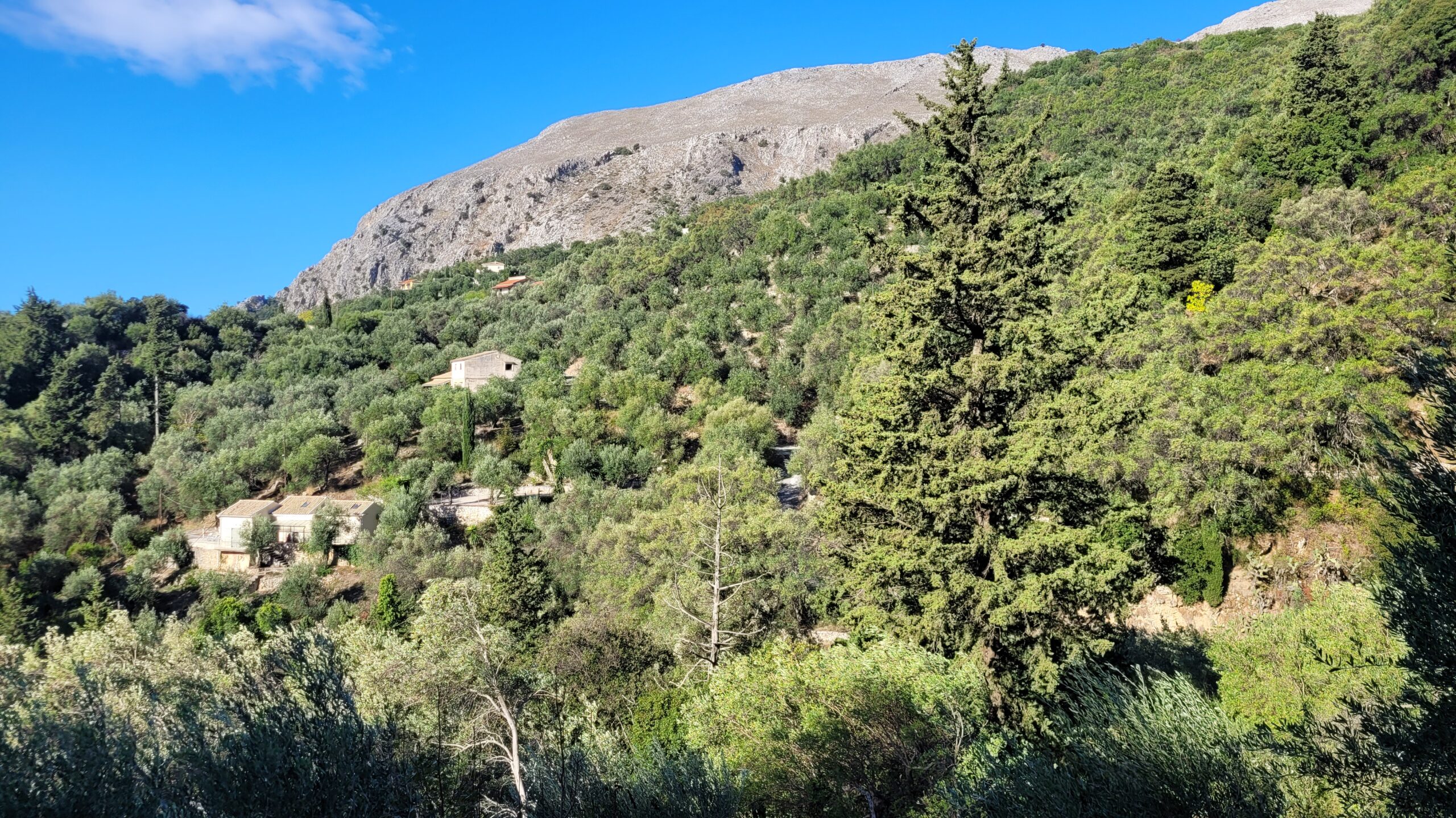 Οικόπεδο στην Κασσιόπη, Κέρκυρα — Φωτογραφία 4 από 6