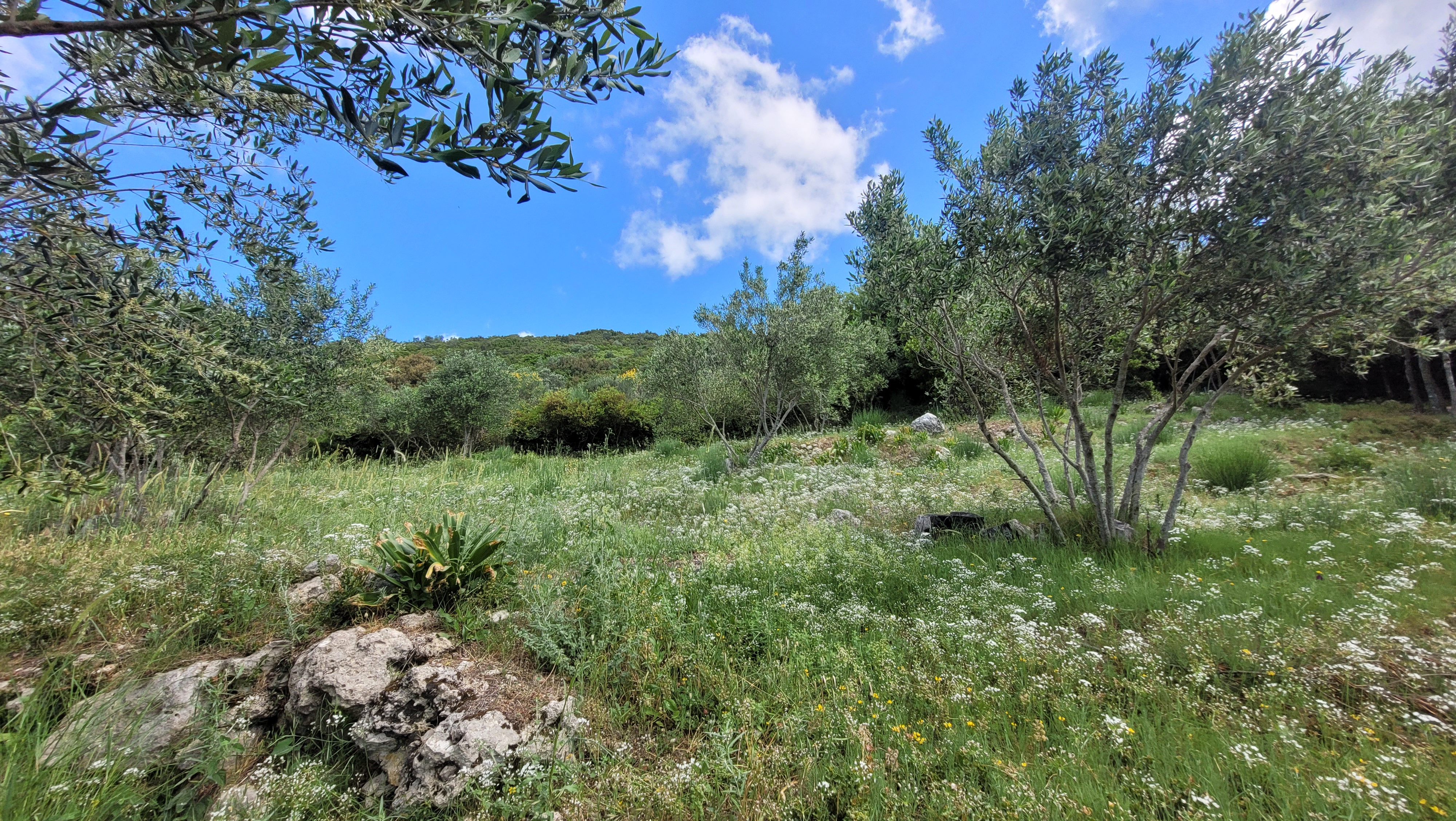 Οικόπεδο στην Φαίακες, Κέρκυρα — Φωτογραφία 2 από 6