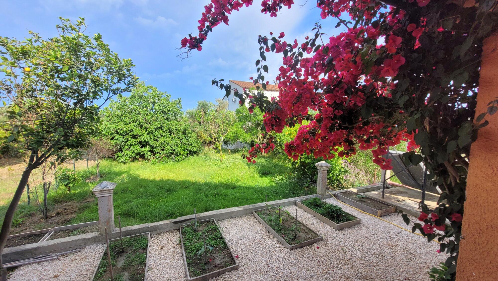 house στην Κέρκυρα — Φωτογραφία 11 από 11