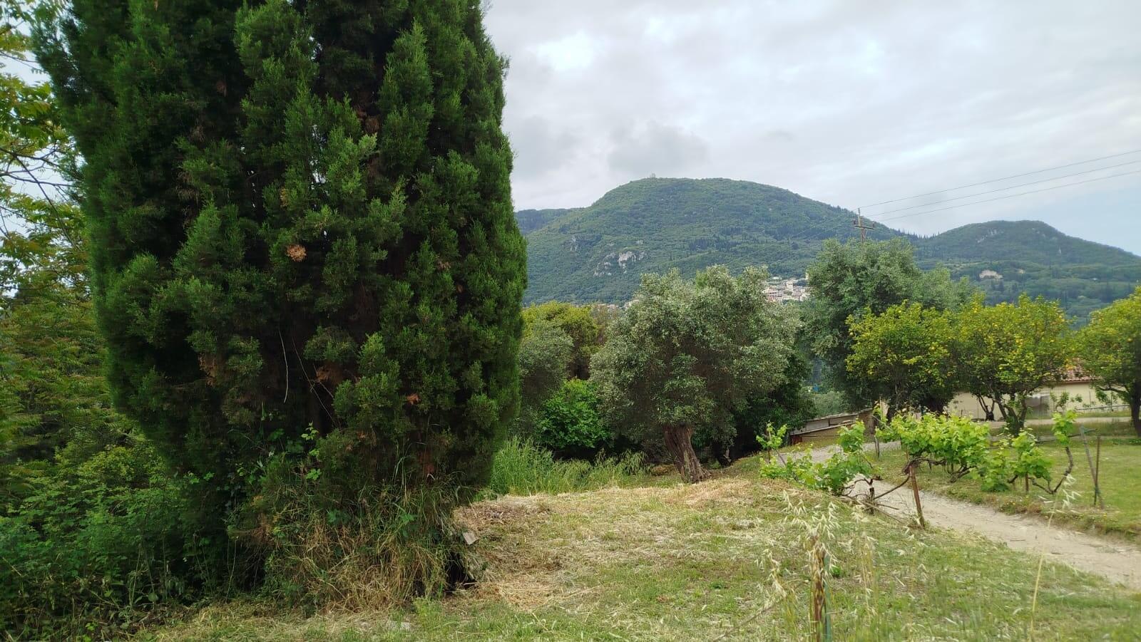 Οικόπεδο στην Αχίλλειο, Κέρκυρα — Φωτογραφία 7 από 7