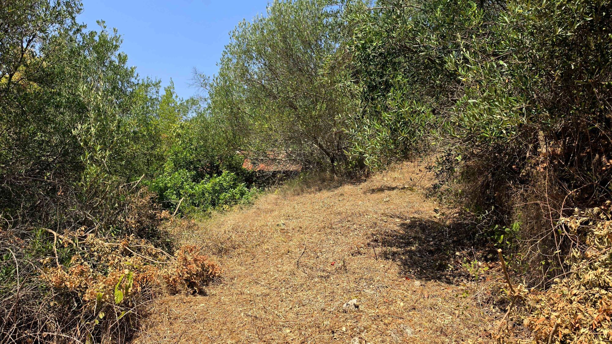 Οικόπεδο στην Βασιλάτικα, Κέρκυρα — Φωτογραφία 3 από 5