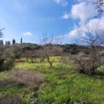 Flat plot of 2,585 sq.m. in Karoumpatika, offering a peaceful environment surrounded by lush greenery.