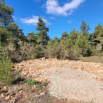 View of the area of Ippokratios Politia near Lake Beletsi, showing natural beauty and surrounding plots.