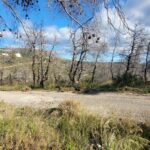 Road access and infrastructure near the available plots in Ippokratios Politia.