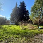 Spacious land for sale in Livadi Ropa, Corfu, with building offering renovation potential