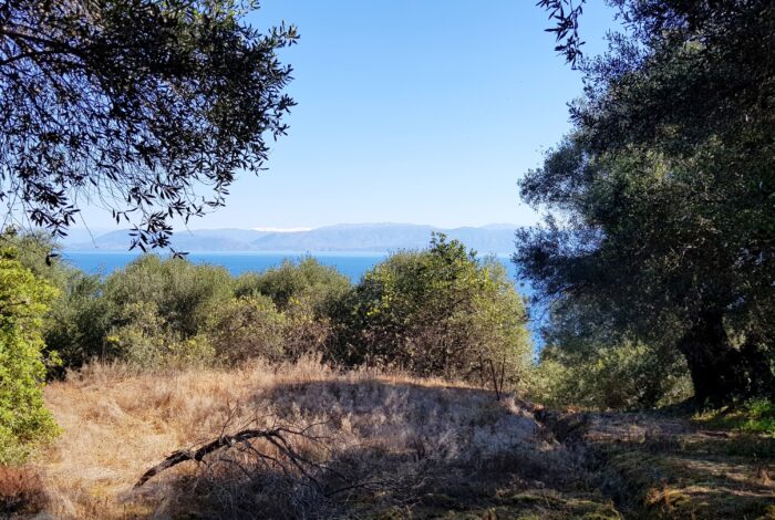 Sea view from the olive grove in Chlomos, Corfu