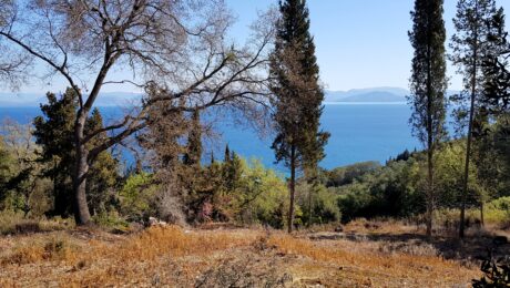 Panoramic sea view from buildable land in Corfu countryside