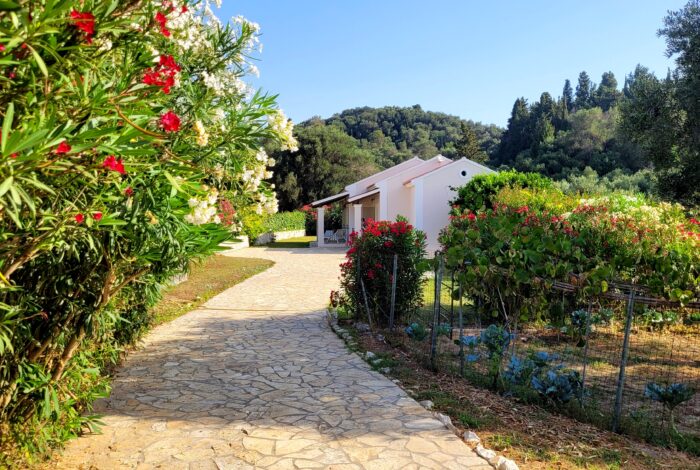 Private gated villa entrance with paved courtyard and mature greenery in Afionas