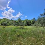 2. Buildable land with pre-approved license between Skripero and Doukades