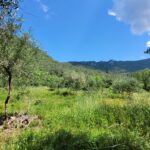 4. Property with mountain views and easy access in central Corfu