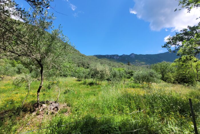 4. Property with mountain views and easy access in central Corfu