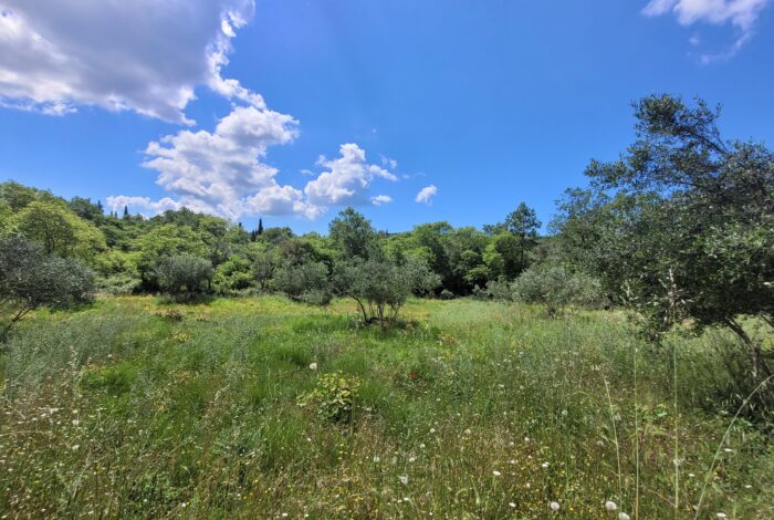 2. Buildable land with pre-approved license between Skripero and Doukades