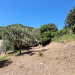 Large Corfu plot with development rights and dual access