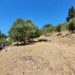 Plot with additional building rights, in Skripero, Central Corfu