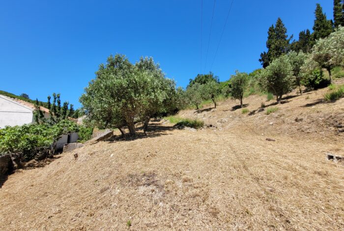Plot with additional building rights, in Skripero, Central Corfu