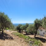 Terraced land with sea views near Skripero, Corfu
