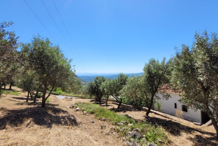 Terraced land with sea views near Skripero, Corfu