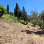 Plot for sale in northern Corfu with sea view and investment potential