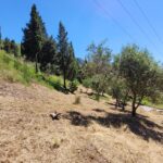 Sloped terrain with buildable potential in Corfu countryside