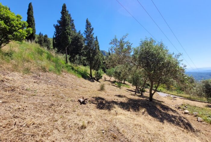 Sloped terrain with buildable potential in Corfu countryside