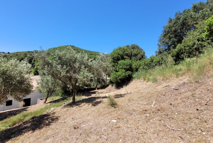 Large Corfu plot with development rights and dual access