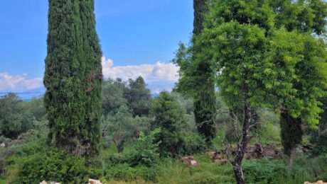 Distant sea view from buildable land in Kassiopi, Corfu