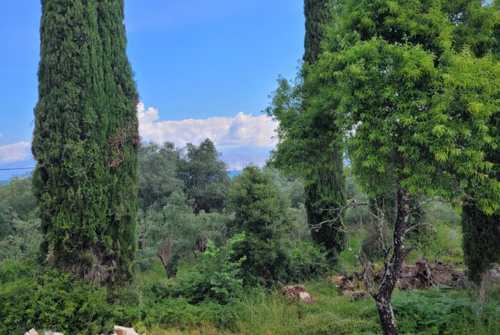 Distant sea view from buildable land in Kassiopi, Corfu