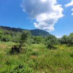10. Peaceful land for residential development in Doukades