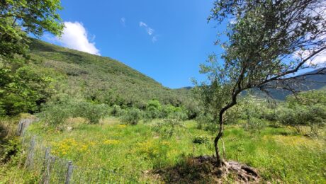 13. Quiet plot with potential for two-storey home in Doukades