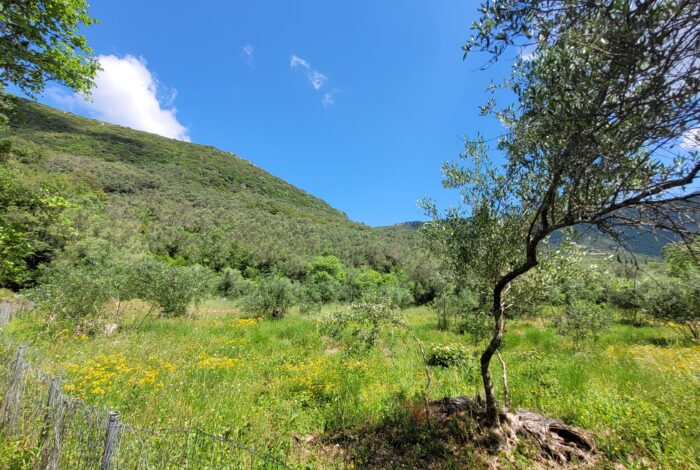 13. Quiet plot with potential for two-storey home in Doukades